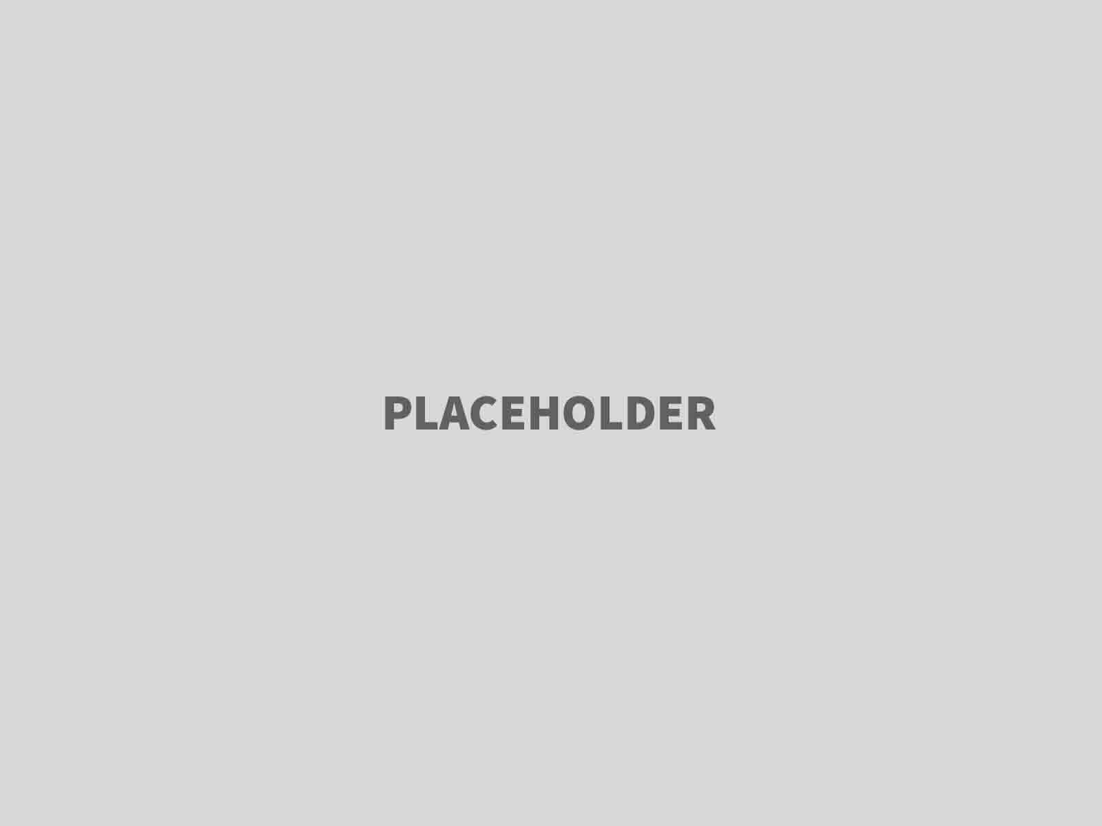 Hier entsteht die Homepage des Vereins bewusst